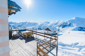 Gudauri private cottage